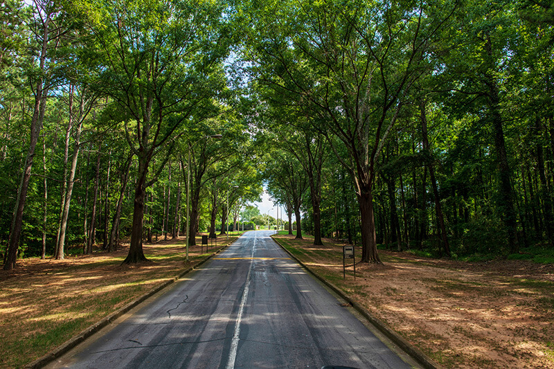 Street in LaGrange, Georgia